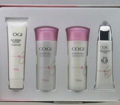 Plastic blister inner tray packaging for cosmetics CP-013