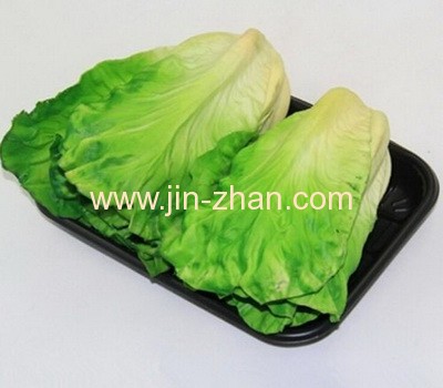 China blister packaging manufacturer China blister packaging manufacturer